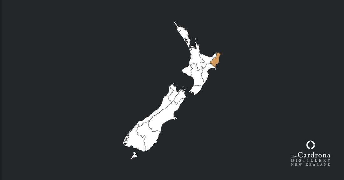 NZ-GIS