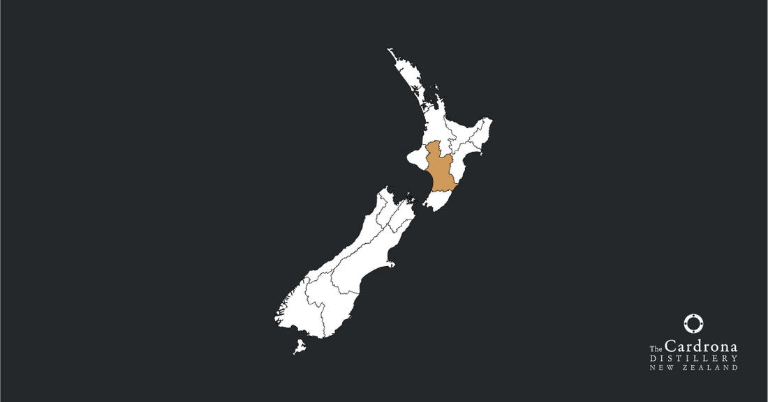 NZ-MWT